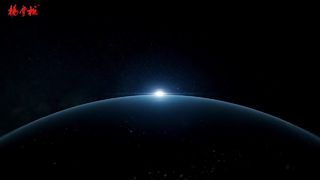 Wermiszel, makaron z warzywami i jajkiem ma plusowy styl